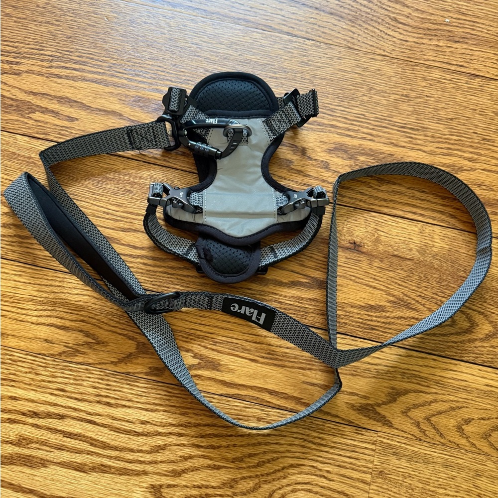 Flare ultra reflective dog Harness and Leash set XS